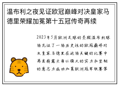 温布利之夜见证欧冠巅峰对决皇家马德里荣耀加冕第十五冠传奇再续 温布利之夜见证欧冠巅峰对决皇家马德里荣耀加冕第十五冠传奇再续